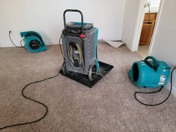 Best Water damage contractors near me  in Egypt, PA
