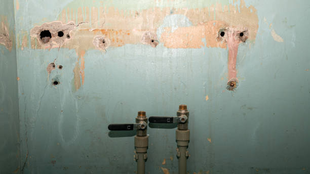 Best Sewage cleanup and water damage restoration  in Egypt, PA