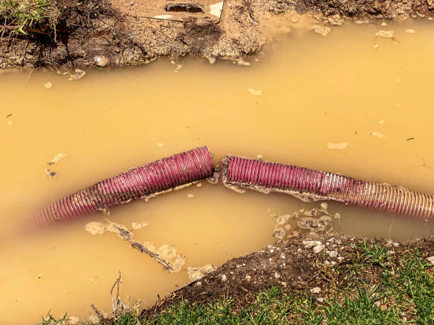 Best Residential water damage restoration  in Egypt, PA