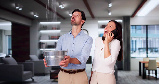 Best Water damage restoration near me  in Egypt, PA