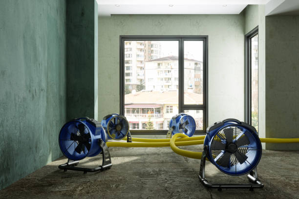 Best Residential water damage restoration  in Egypt, PA